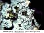mineralien:mineralien2014:pharmakosiderit1.jpg