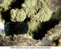 mineralien:mineralien2014:malachit_dr364_.jpg
