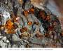 mineralien:mineralien2014:jarosit_35.jpg