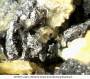 mineralien:mineralien2014:tucekit_186.jpg