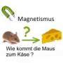 medienzentrum_siegen_wittgenstein:grundschule:magnetismus.jpg